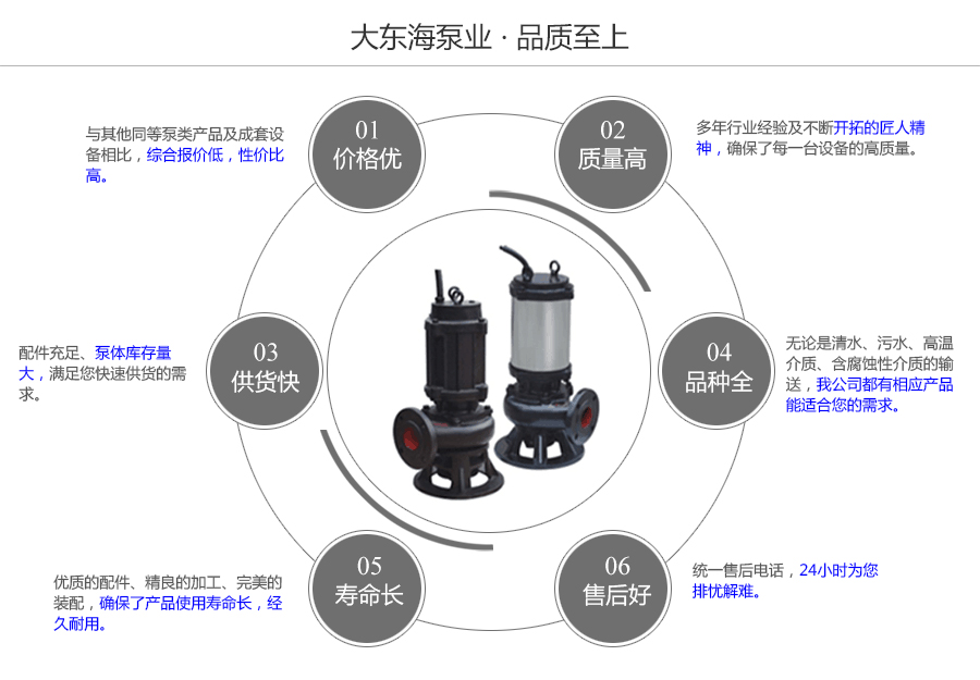 大東海泵業WQ型排污泵質量保證圖