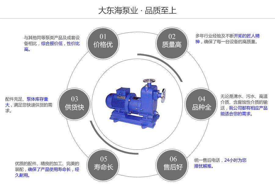 大東海泵業(yè)自吸式磁力泵質量保證圖